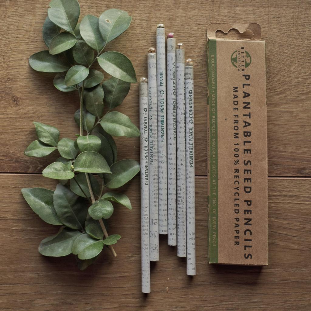 Plantable Seed Pencils